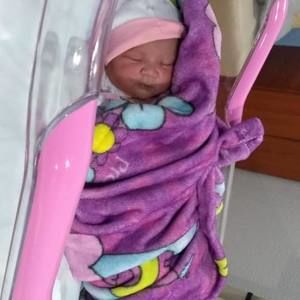 Meet your Posher, Mary